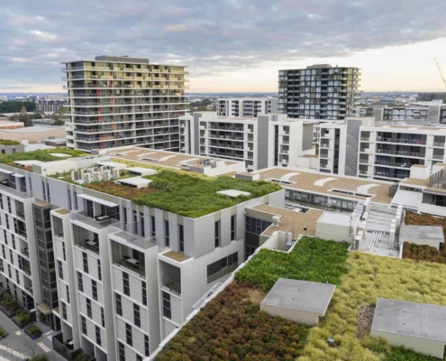 View of green roof on modern buildings