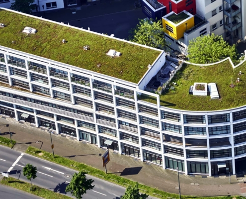 Modern office building with green roof promoting sustainability